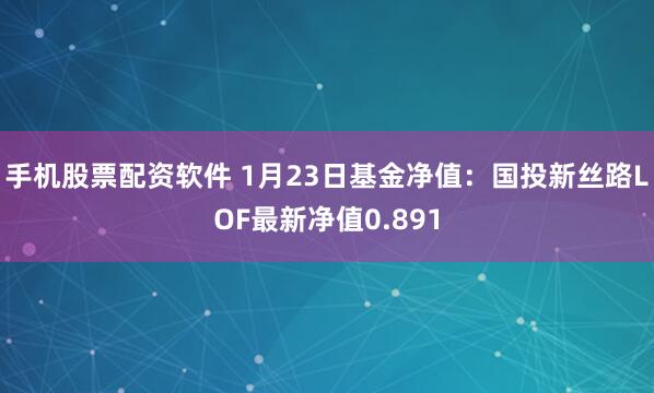 手机股票配资软件 1月23日基金净值：国投新丝路LOF最新净值0.891
