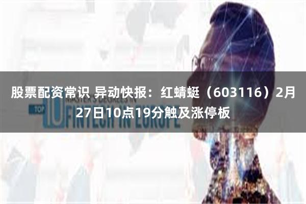 股票配资常识 异动快报：红蜻蜓（603116）2月27日10点19分触及涨停板