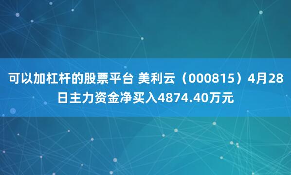可以加杠杆的股票平台 美利云（000815）4月28日主力资金净买入4874.40万元