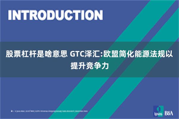股票杠杆是啥意思 GTC泽汇:欧盟简化能源法规以提升竞争力