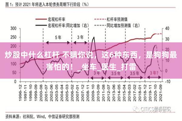 炒股中什么杠杆 不瞒你说，这6种东西，是狗狗最害怕的！_坐车_医生_打雷