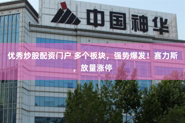 优秀炒股配资门户 多个板块，强势爆发！赛力斯，放量涨停