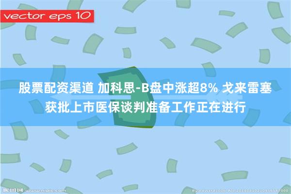 股票配资渠道 加科思-B盘中涨超8% 戈来雷塞获批上市医保谈判准备工作正在进行