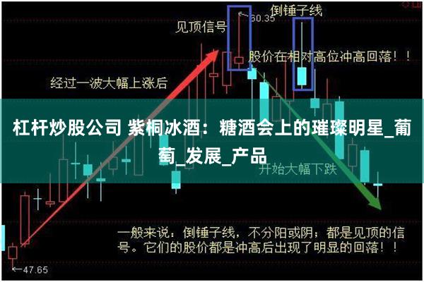 杠杆炒股公司 紫桐冰酒：糖酒会上的璀璨明星_葡萄_发展_产品
