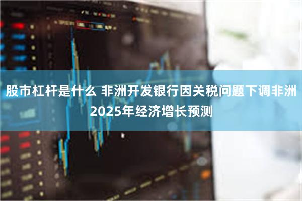 股市杠杆是什么 非洲开发银行因关税问题下调非洲2025年经济增长预测