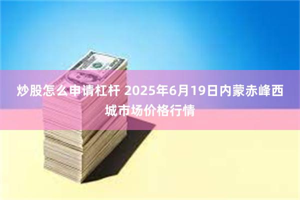 炒股怎么申请杠杆 2025年6月19日内蒙赤峰西城市场价格行情