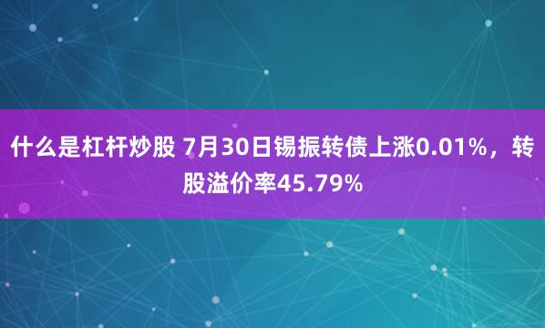 什么是杠杆炒股 7月30日锡振转债上涨0.01%，转股溢价率45.79%