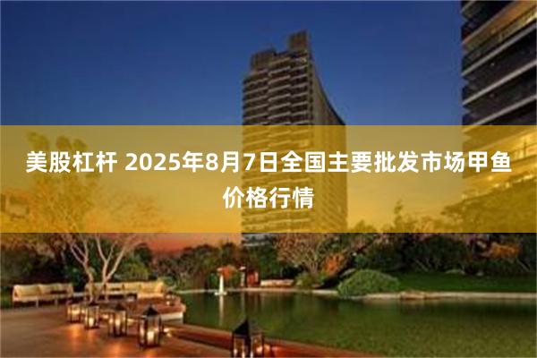美股杠杆 2025年8月7日全国主要批发市场甲鱼价格行情