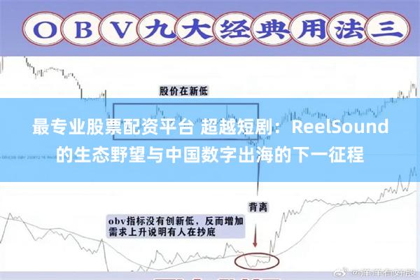 最专业股票配资平台 超越短剧：ReelSound的生态野望与中国数字出海的下一征程
