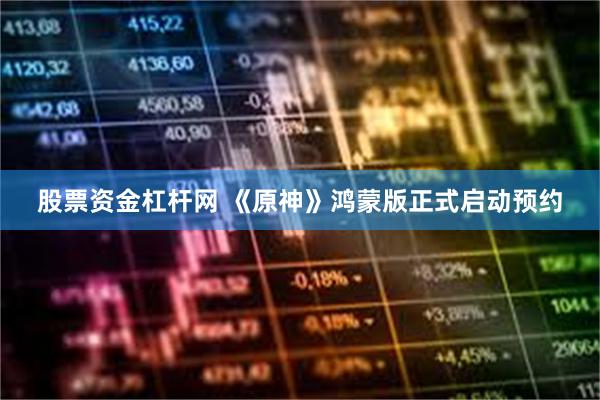 股票资金杠杆网 《原神》鸿蒙版正式启动预约